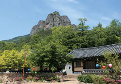 20110414113602_8_spring_tra8_ZEMFEBqN_jyy5L1MTp.jpg