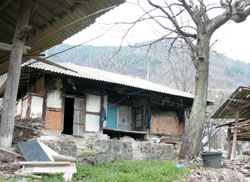 20110414115130_1_spring_tra9_z3eyzDB8NTcr9O8_srrUeIBBKD8y.jpg
