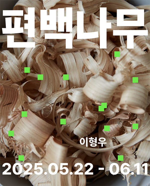 편백나무